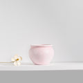 Pebble Soft-Tone Ceramic Succulent Pot