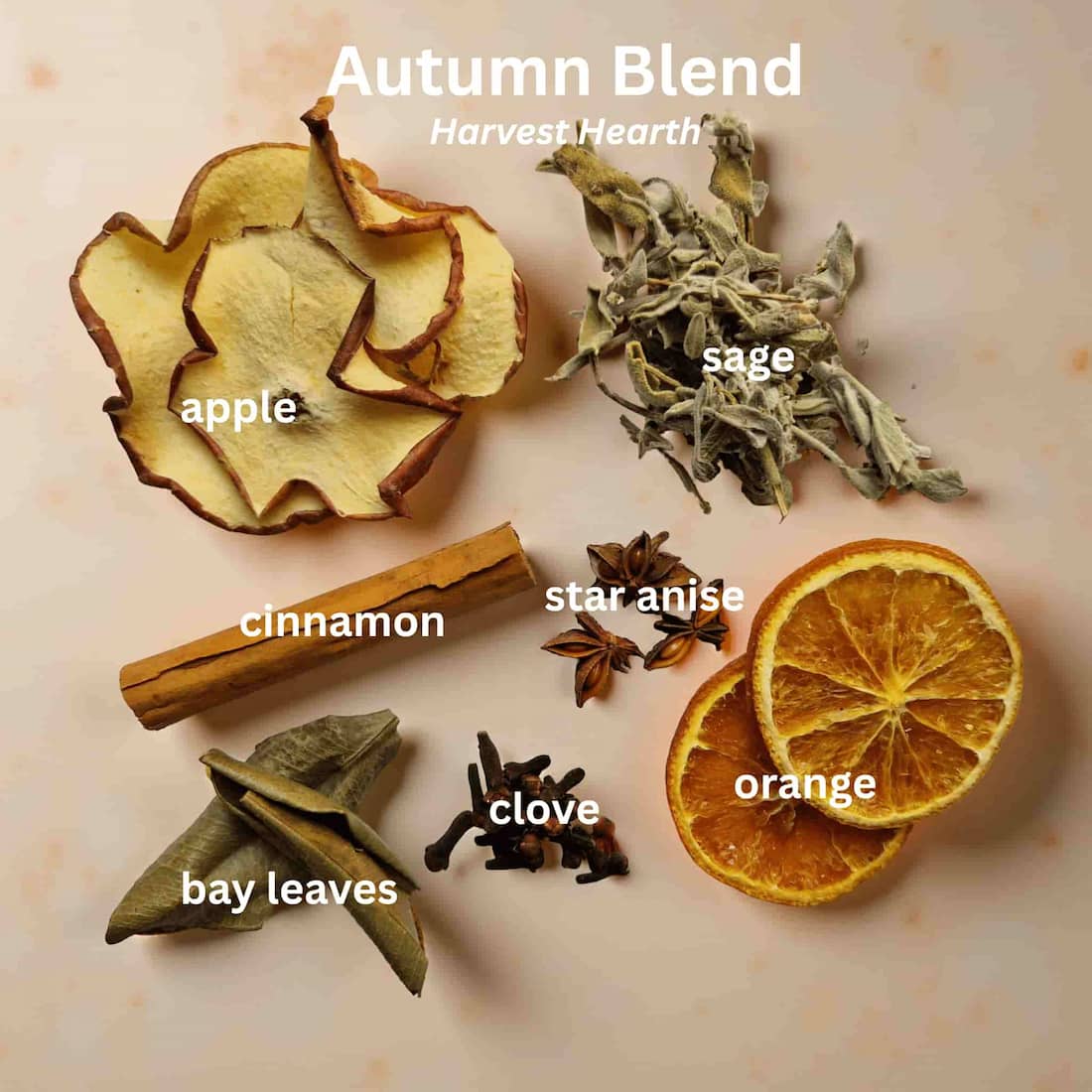 Botanical Simmer Pot Blend